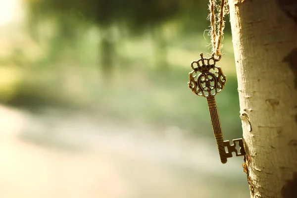 Ein Uralter Schlüssel Hängt Einem Baumstamm Wald — Stockfoto