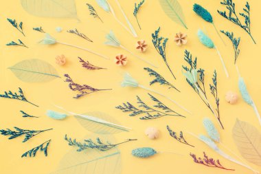 Sarı zemin üzerinde ormanın doğal bileşiminin üst görüntüsü. Düz yatıyordu.