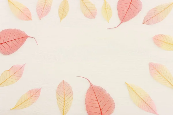Colorful Transparent Delicate Skeleton Leaves Wooden White Background — Stock Photo, Image