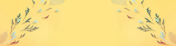 Draufsicht Bild Des Herbstwaldes Natürliche Zusammensetzung Über Gelbem Hintergrund Flache — Stockfoto