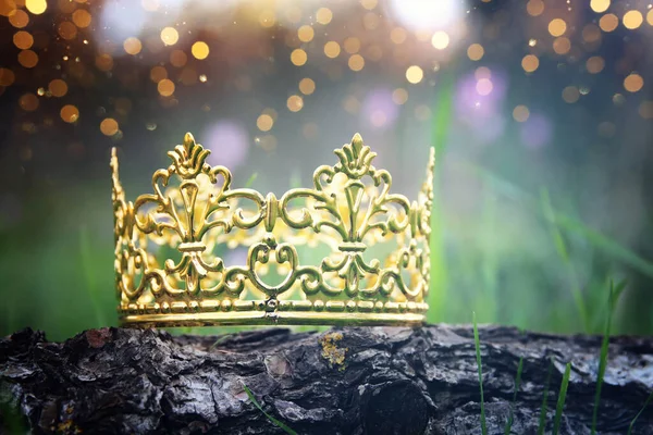 Mysterieuze Magische Foto Van Gouden Koningskroon Het Bos Middeleeuws Concept — Stockfoto