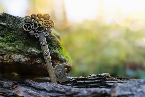 Стародавній Ключ Камені Мохом Лісі — стокове фото