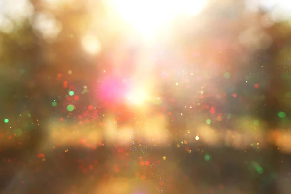 Blurred Abstract Photo Light Burst Trees Glitter Golden Bokeh Lights — Stock Photo, Image