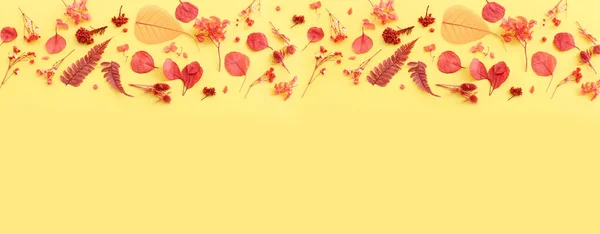 Top View Image Autumn Forest Natural Composition Yellow Background Flat — Stock Photo, Image