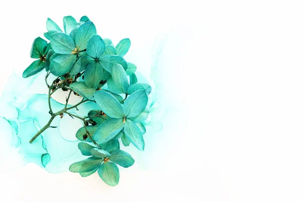 Творческий Образ Изумрудных Зеленых Цветков Гипса Художественном Чернильном Фоне Вид — стоковое фото