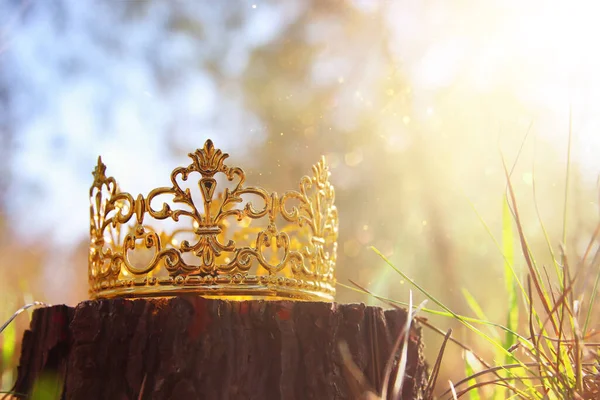 Misteriosa Mágica Foto Rei Ouro Coroa Floresta Conceito Período Medieval — Fotografia de Stock