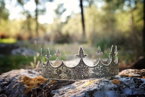 Misteriosa Mágica Foto Corona Plata Rey Bosque Sobre Piedra Concepto —  Fotos de Stock