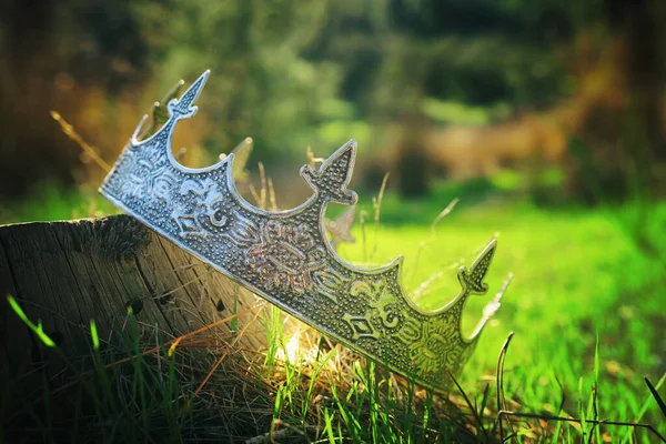 森の中の銀王冠の神秘的で魔法の写真 中世の概念 — ストック写真