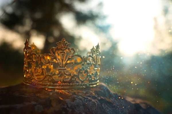 Ormanda taş üstünde altın kralın gizemli ve sihirli fotoğrafı. Ortaçağ konsepti.