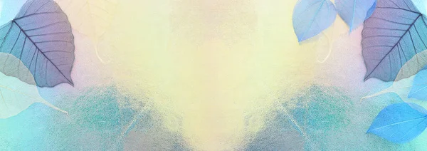 Цветные Прозрачные Нежные Листья Скелета Металлическом Фоне Banner — стоковое фото