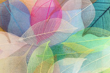 Metalik arkaplan üzerinde renkli şeffaf ve narin iskelet yaprakları