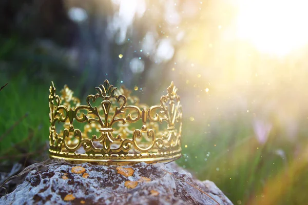 Mysterious Magical Photo Gold King Crown Woods Stone Medieval Period — Stock Photo, Image