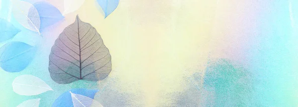 Цветные Прозрачные Нежные Листья Скелета Металлическом Фоне Banner — стоковое фото