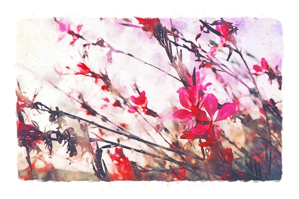 Abstrakte Aquarell Stil Illustration Von Rosa Und Roten Feldblumen — Stockfoto