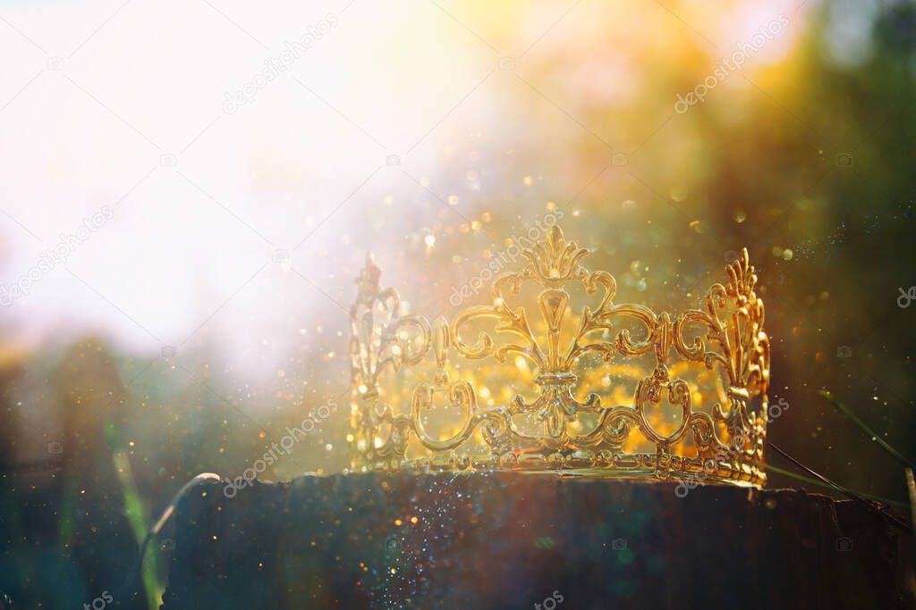 mysterious and magical photo of gold king crown in the woods. Medieval period concept.
