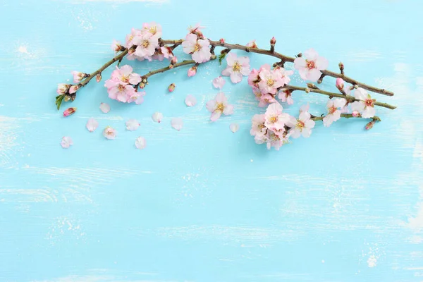 Изображение Весеннего Белого Цветения Вишни Синем Деревянном Фоне Винтажное Отфильтрованное — стоковое фото