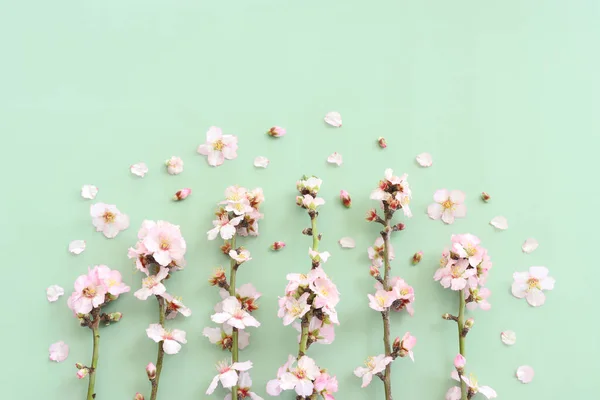 Image Spring White Cherry Blossoms Tree Green Pastel Background Vintage — Stock Photo, Image