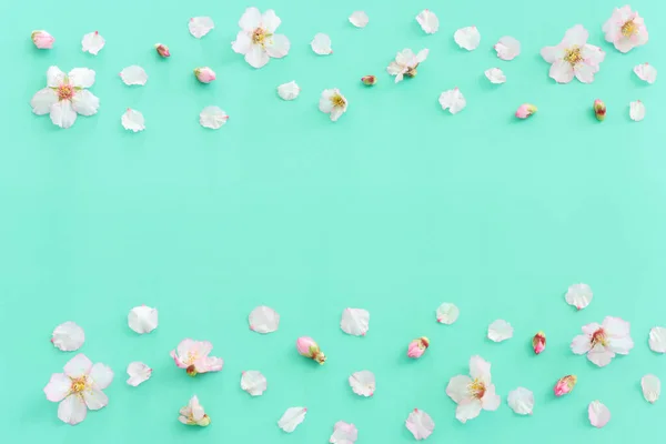 Image Spring White Cherry Blossoms Tree Mint Pastel Background Vintage — Stock Photo, Image