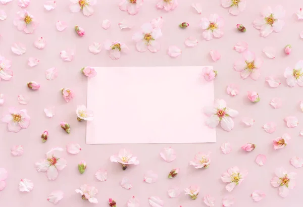 Obrázek Jarní Bílé Třešňové Květy Strom Prázdný Papír Přes Růžové — Stock fotografie