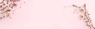 Pembe pastel arka planda bahar beyaz kiraz çiçekleri resmi