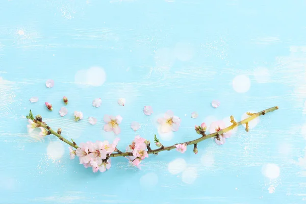 Изображение Весеннего Белого Цветения Вишни Синем Деревянном Фоне Винтажное Отфильтрованное — стоковое фото