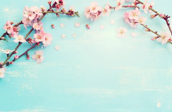 Image Printemps Cerisier Blanc Fleurs Arbre Sur Fond Bois Bleu — Photo