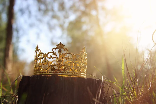 Mysterious Magical Photo Gold King Crown Woods Medieval Period Concept — Stock Photo, Image