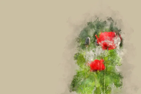 红罂粟花的水彩画风格与抽象图像 — 图库照片
