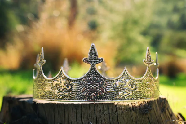 Mysterieuze Magische Foto Van Zilveren Koningskroon Het Bos Middeleeuws Concept — Stockfoto