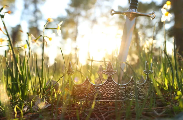 Misteriosa Mágica Foto Prata Rei Coroa Espada Floresta Inglaterra Conceito — Fotografia de Stock