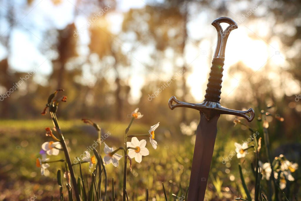 mysterious and magical photo of silver sword in the England woods and light flare. Medieval period concept