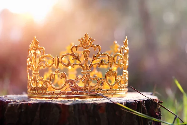Загадочная Волшебная Фотография Золотой Короны Короля Лесу Концепция Средневековья — стоковое фото