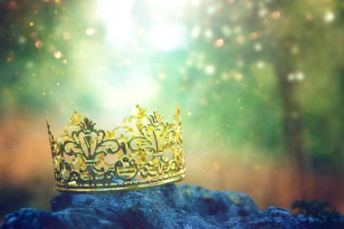 Ormanda taş üstünde altın kralın gizemli ve sihirli fotoğrafı. Ortaçağ konsepti.