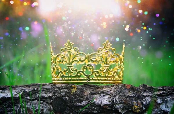 Misteriosa Mágica Foto Rei Ouro Coroa Floresta Conceito Período Medieval — Fotografia de Stock