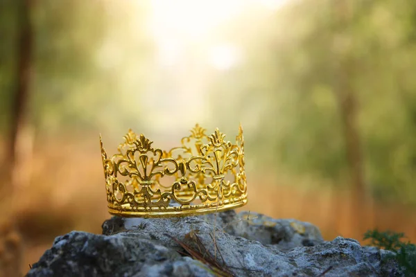 Misteriosa Mágica Foto Rei Ouro Coroa Floresta Sobre Pedra Conceito — Fotografia de Stock