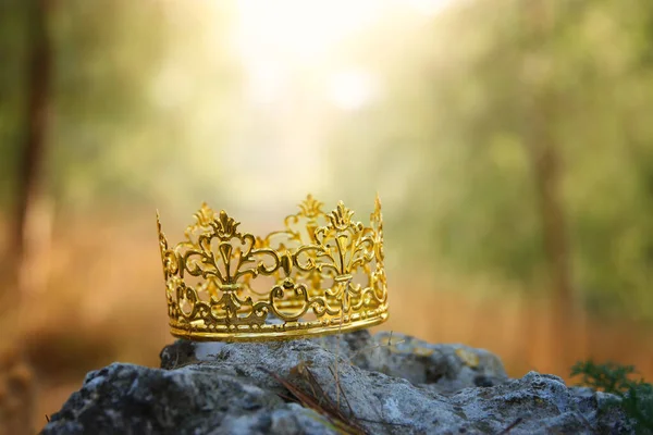 Misteriosa Mágica Foto Del Rey Oro Corona Bosque Sobre Piedra —  Fotos de Stock