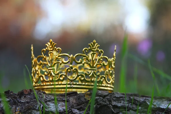 Tajemnicze Magiczne Zdjęcie Złotej Korony Króla Lesie Koncepcja Okresu Średniowiecza — Zdjęcie stockowe