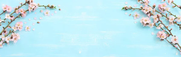 Immagine Primavera Albero Ciliegio Bianco Sfondo Legno Blu Immagine Filtrata — Foto Stock