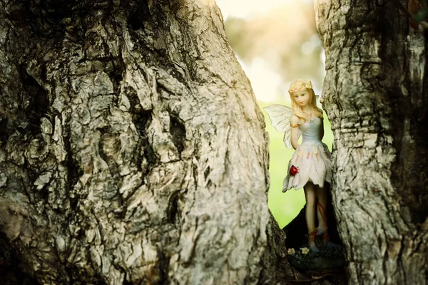 木の上に座っている森の中の不思議な妖精のイメージ — ストック写真