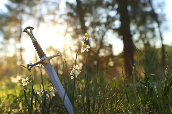 Ngiltere Ormanlarında Gümüş Kılıcın Gizemli Sihirli Fotoğrafı Işık Fişeği Ortaçağ — Stok fotoğraf