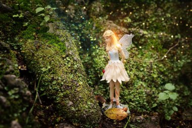 büyülü küçük peri ormandaki görüntüsünü