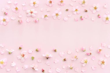 Pembe pastel arka planda bahar kiraz çiçekleri ağacı görüntüsü