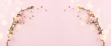Pembe pastel arka planda bahar beyaz kiraz çiçekleri resmi