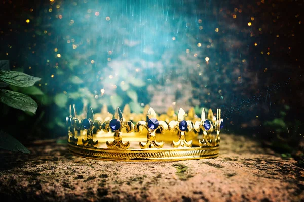 Mysterieuze Magische Foto Van Gouden Koningskroon Het Bos Middeleeuws Concept — Stockfoto