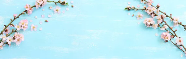 Mavi Ahşap Zemin Üzerinde Bahar Beyaz Kiraz Çiçekleri Ağacı Resmi — Stok fotoğraf