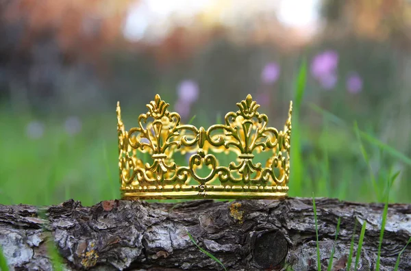 Tajemnicze Magiczne Zdjęcie Złotej Korony Króla Lesie Koncepcja Okresu Średniowiecza — Zdjęcie stockowe
