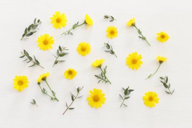 Sarı kasımpatı tarlası çiçeklerinin ahşap beyaz arka plandaki üst görüntüsü. Düz yatıyordu