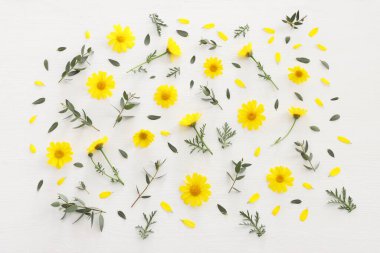 Sarı kasımpatı tarlası çiçeklerinin ahşap beyaz arka plandaki üst görüntüsü. Düz yatıyordu