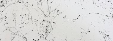 soyut sanat fotoğrafçılığı siyah damar dokusuna sahip beyaz arkaplan resmi