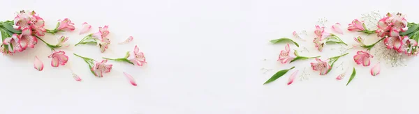 Vista Dall Alto Immagine Composizione Fiori Rosa Viola Sfondo Bianco — Foto Stock